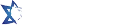 MMA ISRAEL